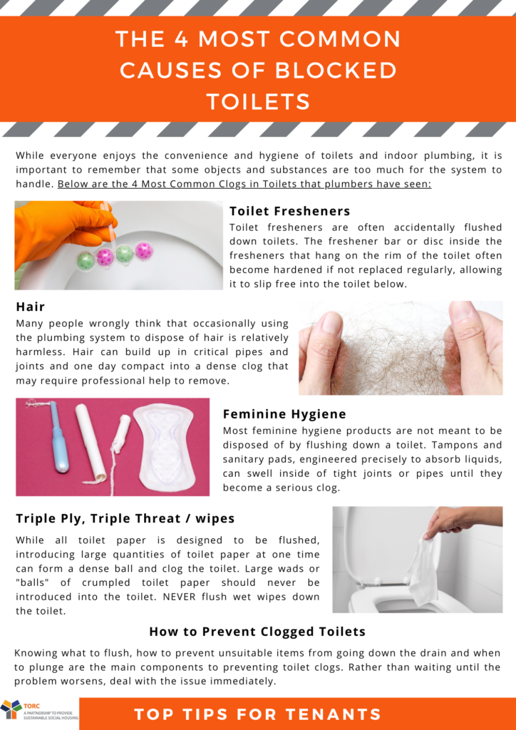 infographic on 4 common causes of blocked toilets